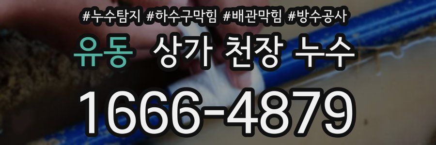 유동 상가 천장 누수