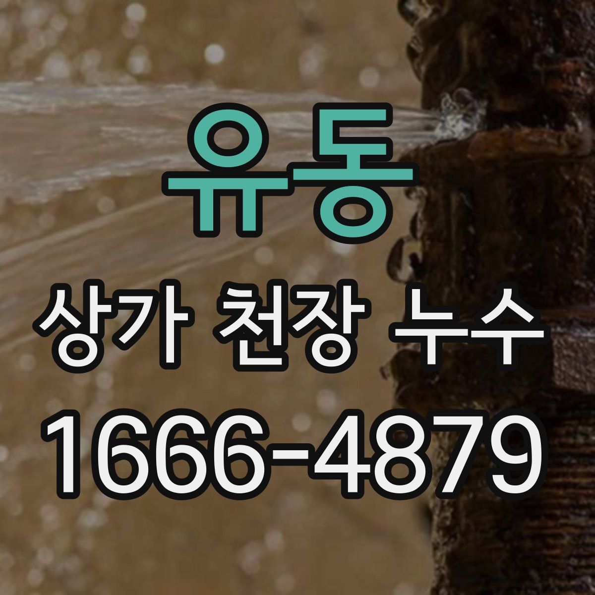 유동 상가 천장 누수