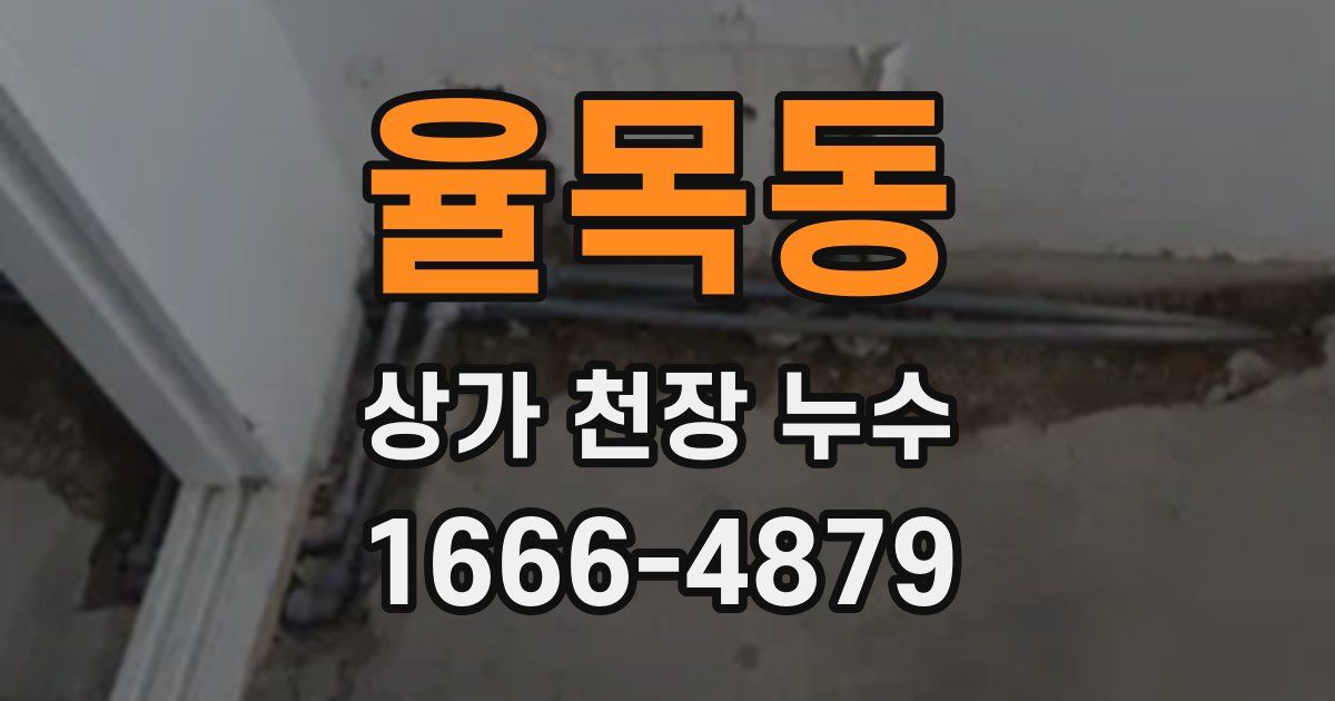 율목동 상가 천장 누수