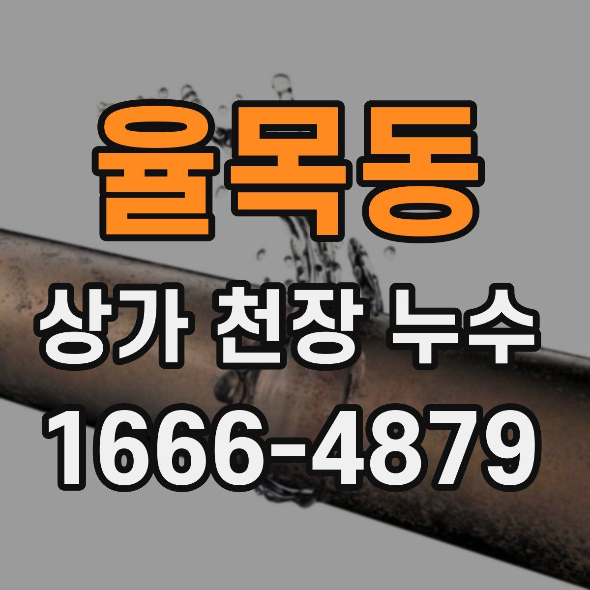 율목동 상가 천장 누수