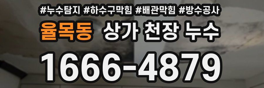 율목동 상가 천장 누수