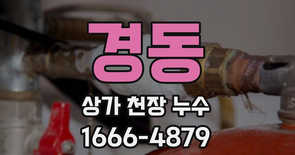 경동 상가 천장 누수