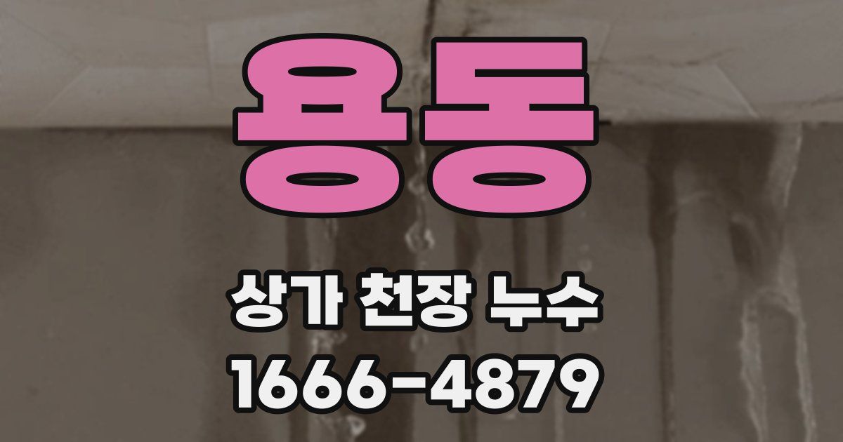 용동 상가 천장 누수