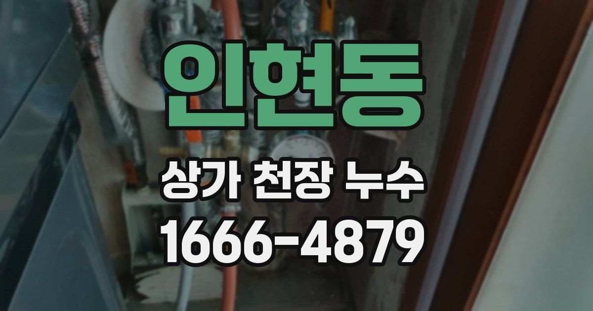 인현동 상가 천장 누수