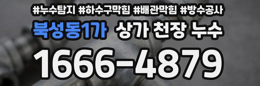북성동1가 상가 천장 누수