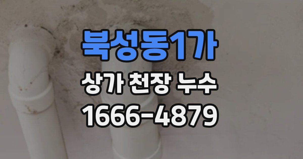 북성동1가 상가 천장 누수