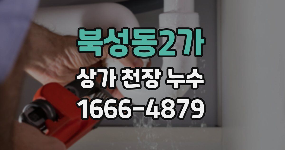 북성동2가 상가 천장 누수