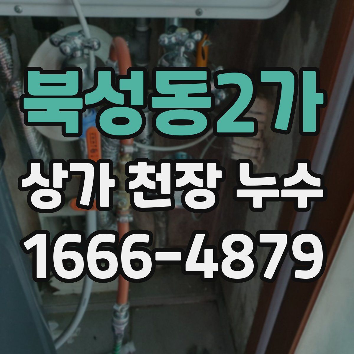 북성동2가 상가 천장 누수