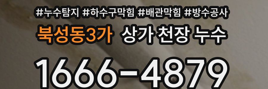 북성동3가 상가 천장 누수
