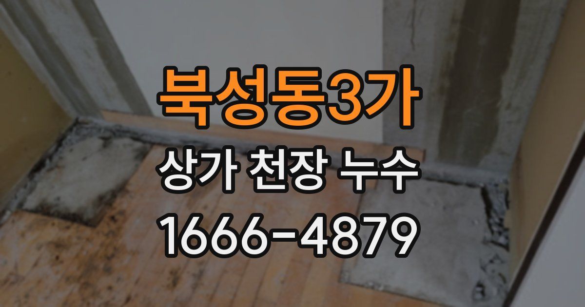 북성동3가 상가 천장 누수
