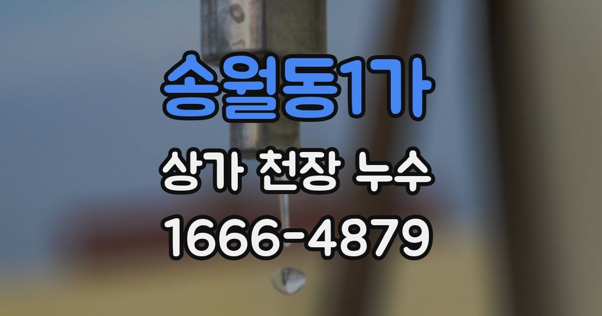 송월동1가 상가 천장 누수