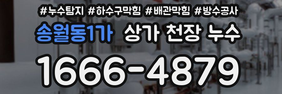 송월동1가 상가 천장 누수