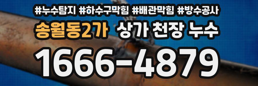 송월동2가 상가 천장 누수