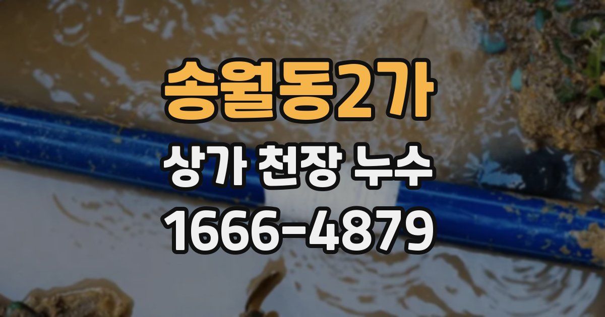 송월동2가 상가 천장 누수