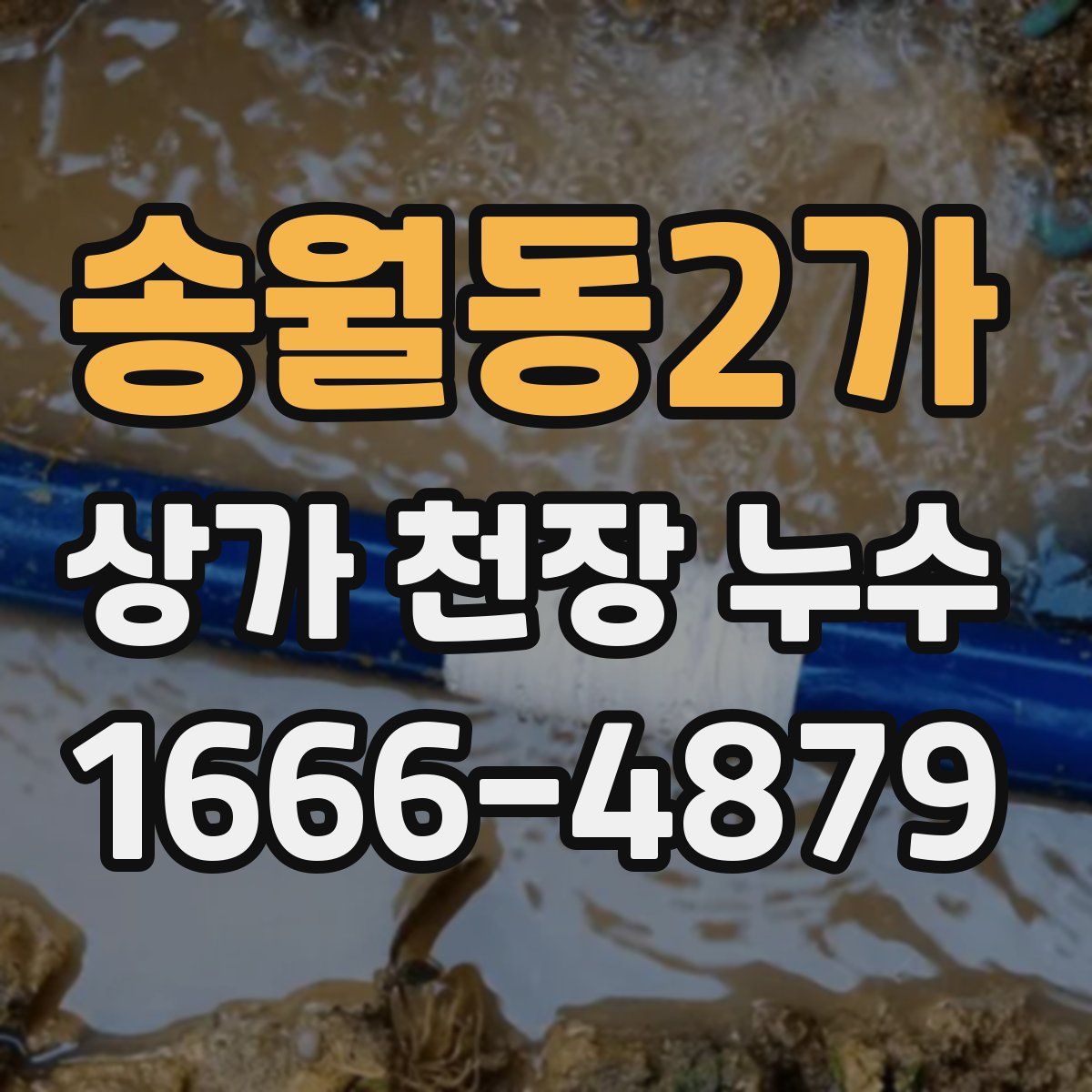 송월동2가 상가 천장 누수