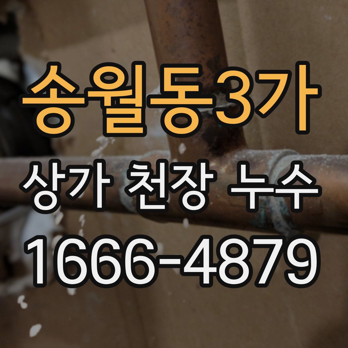송월동3가 상가 천장 누수
