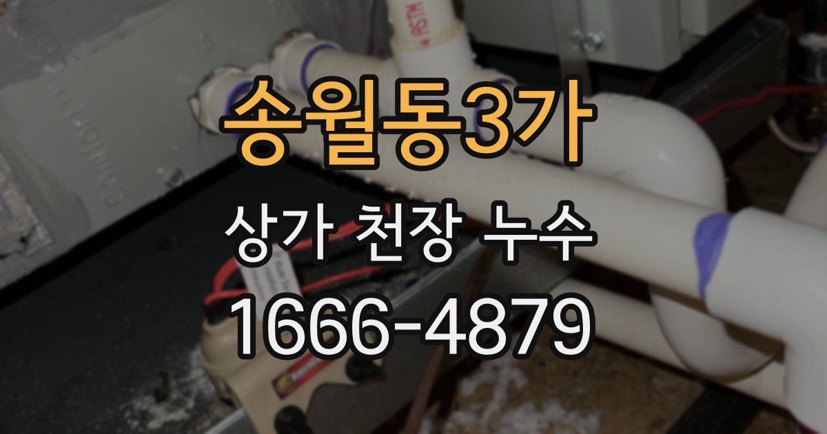 송월동3가 상가 천장 누수