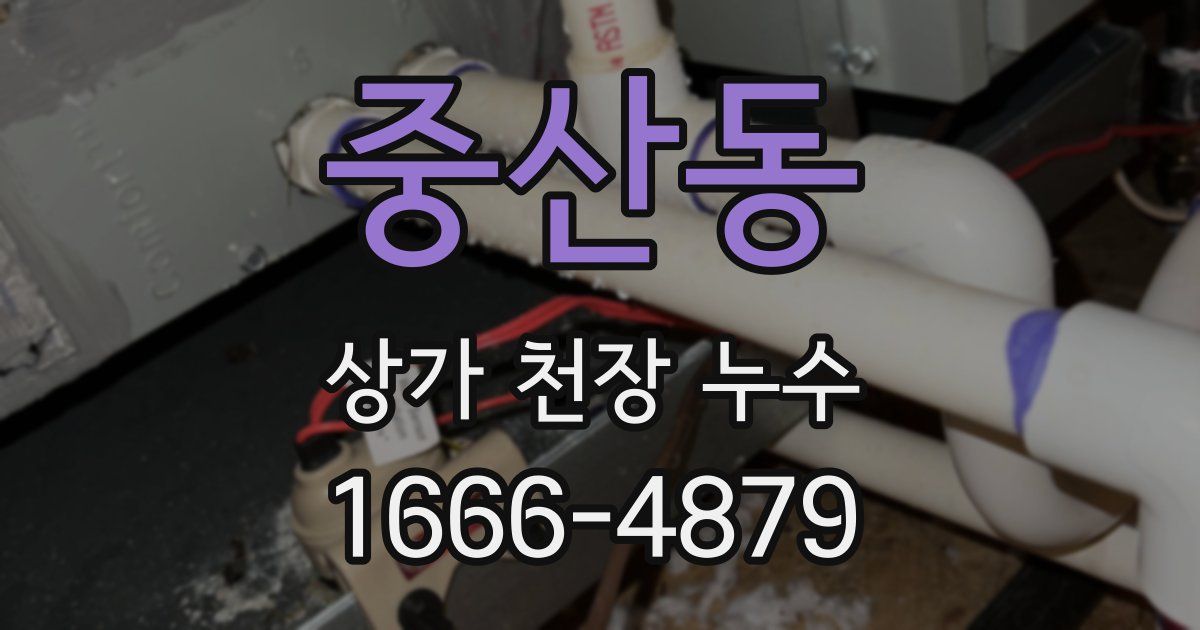 중산동 상가 천장 누수