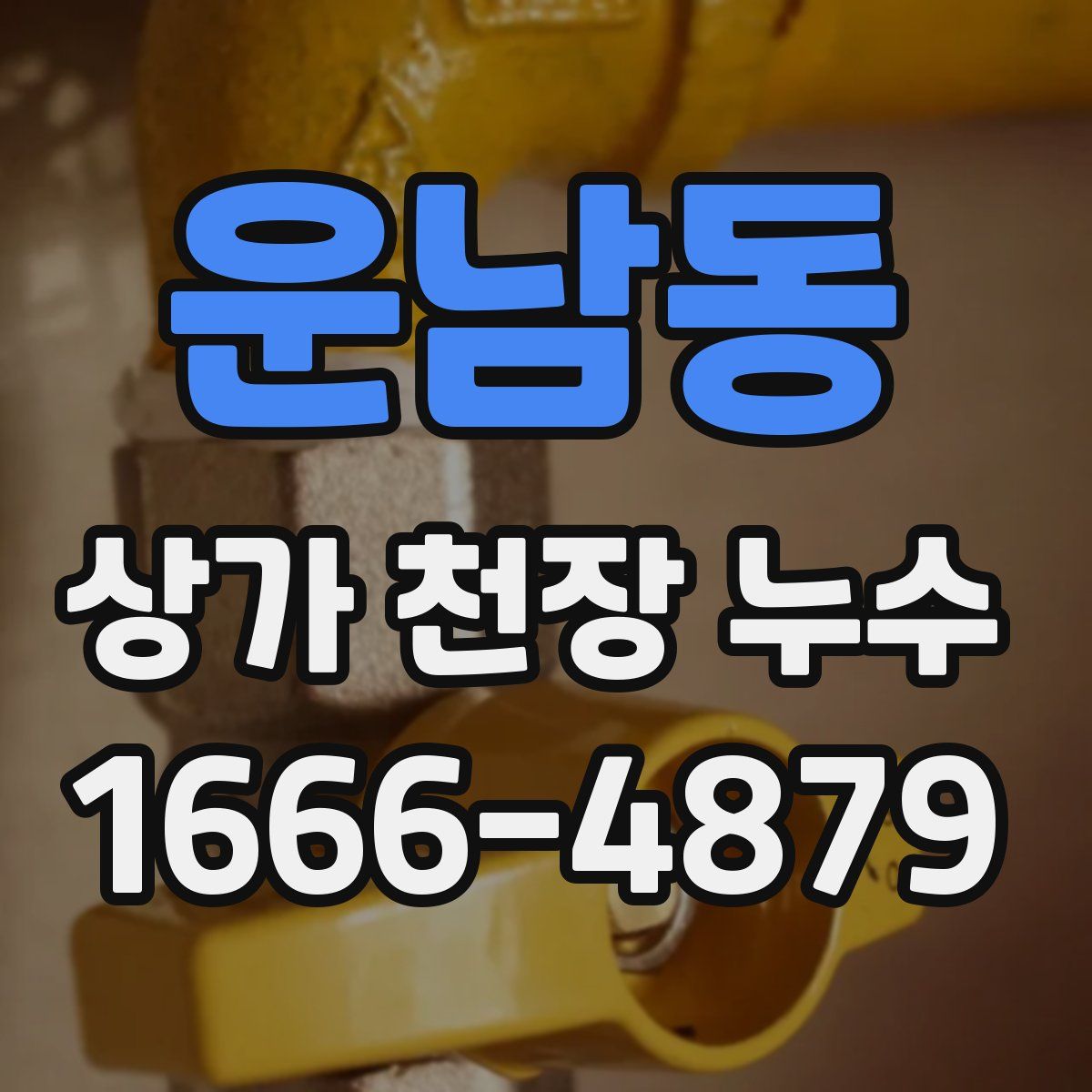 운남동 상가 천장 누수