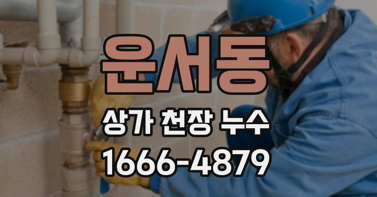 운서동 상가 천장 누수