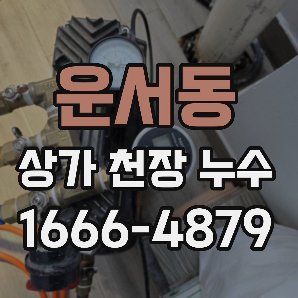 운서동 상가 천장 누수