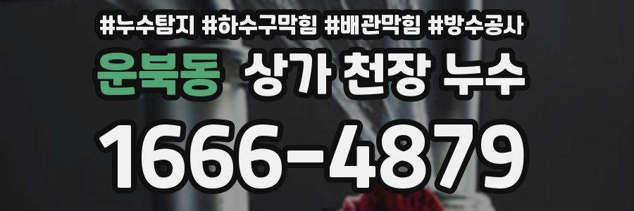 운북동 상가 천장 누수