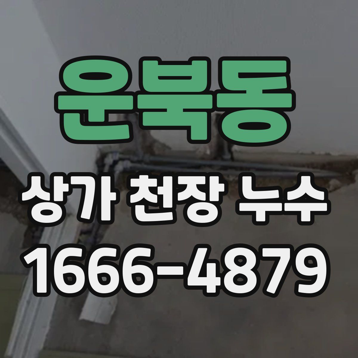운북동 상가 천장 누수