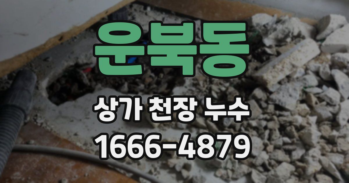 운북동 상가 천장 누수