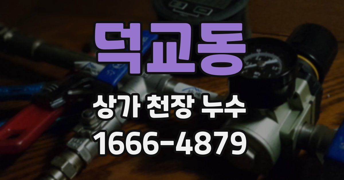 덕교동 상가 천장 누수