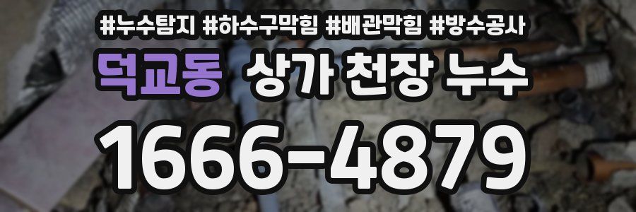 덕교동 상가 천장 누수