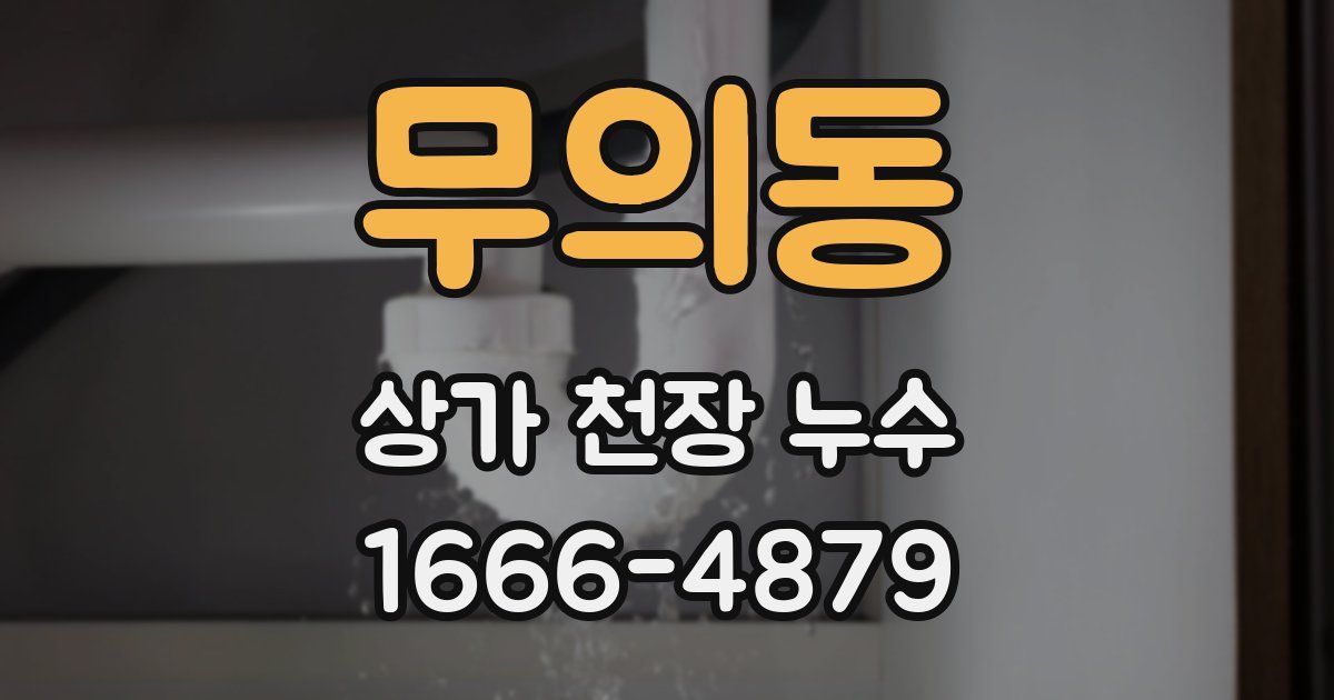 무의동 상가 천장 누수