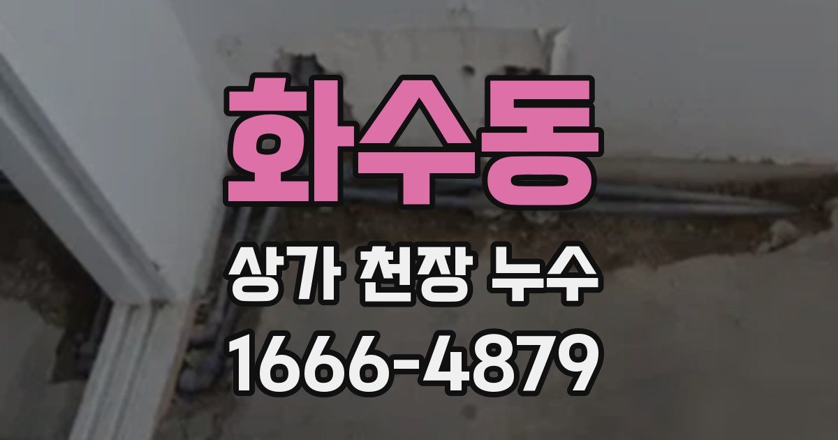 화수동 상가 천장 누수