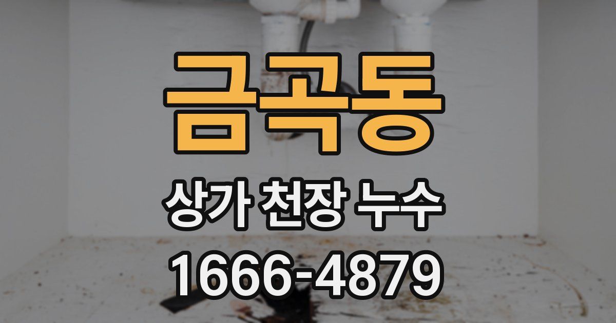금곡동 상가 천장 누수