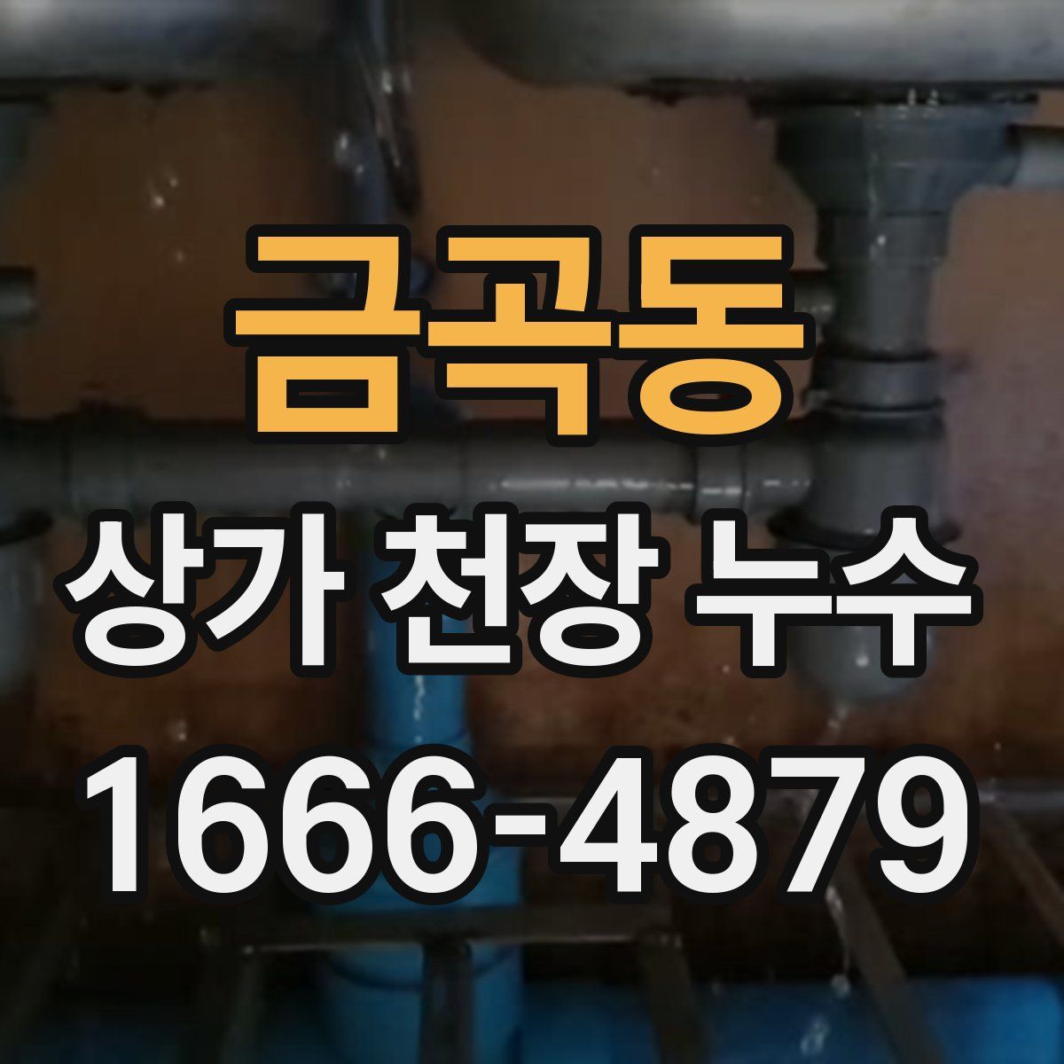 금곡동 상가 천장 누수