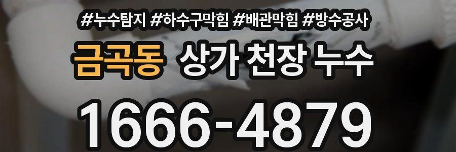 금곡동 상가 천장 누수