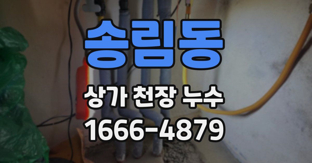 송림동 상가 천장 누수