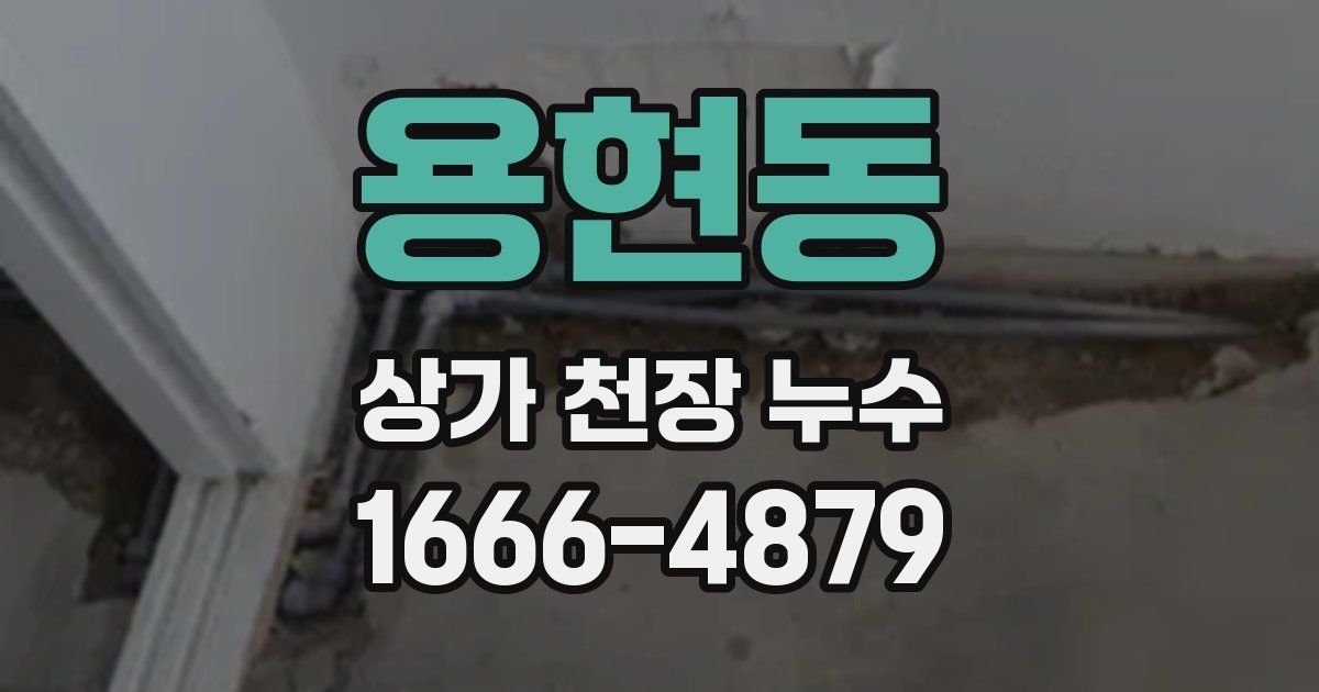 용현동 상가 천장 누수