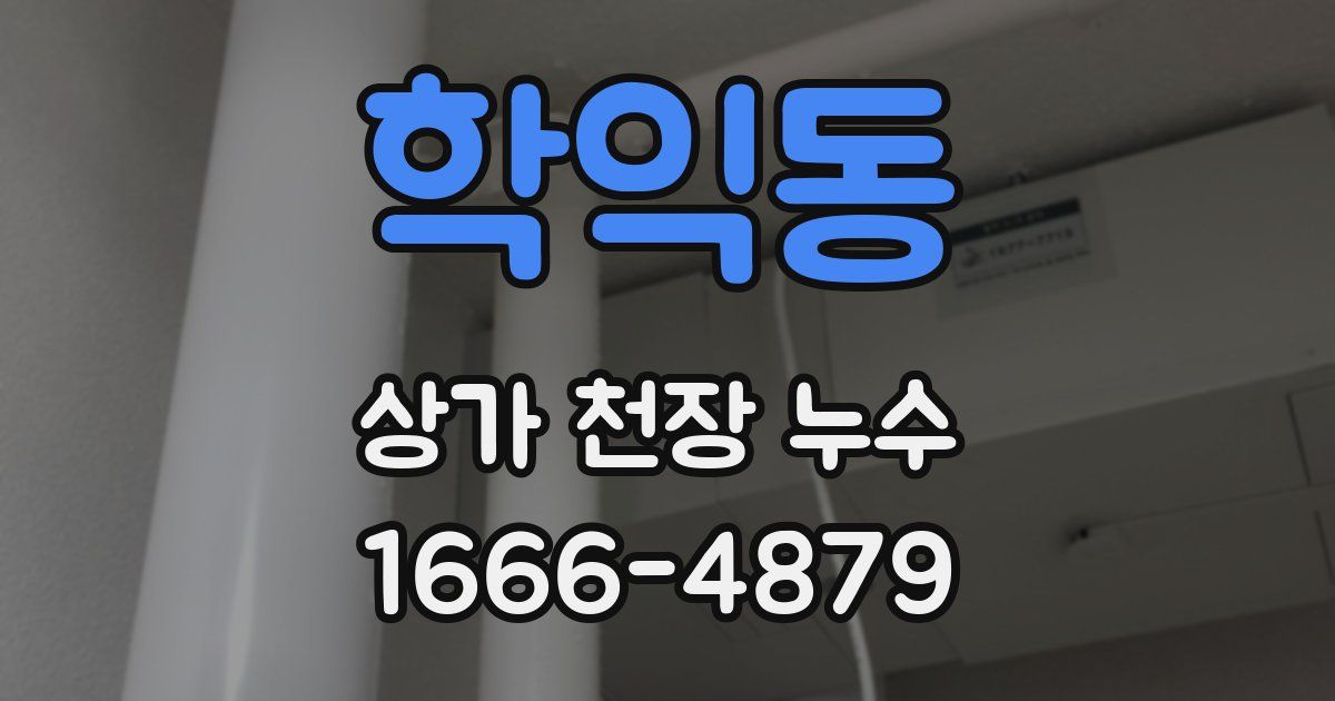 학익동 상가 천장 누수