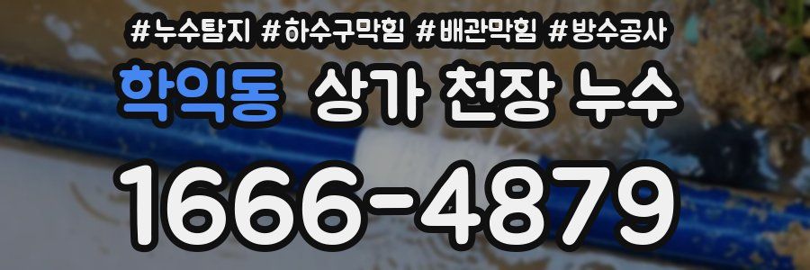 학익동 상가 천장 누수
