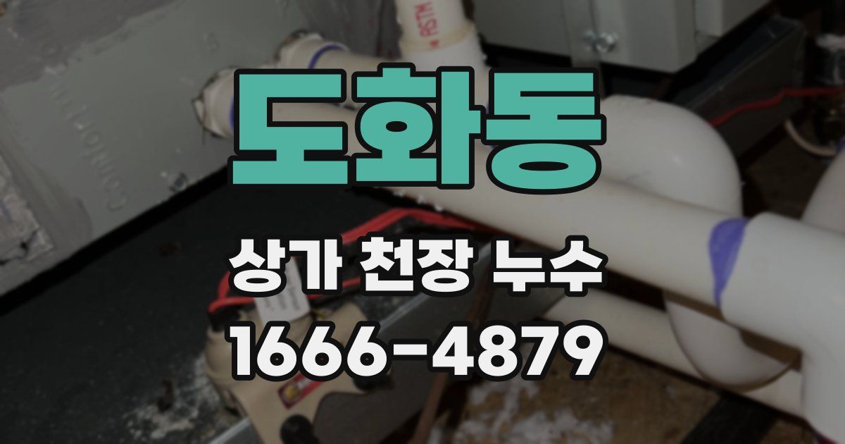도화동 상가 천장 누수