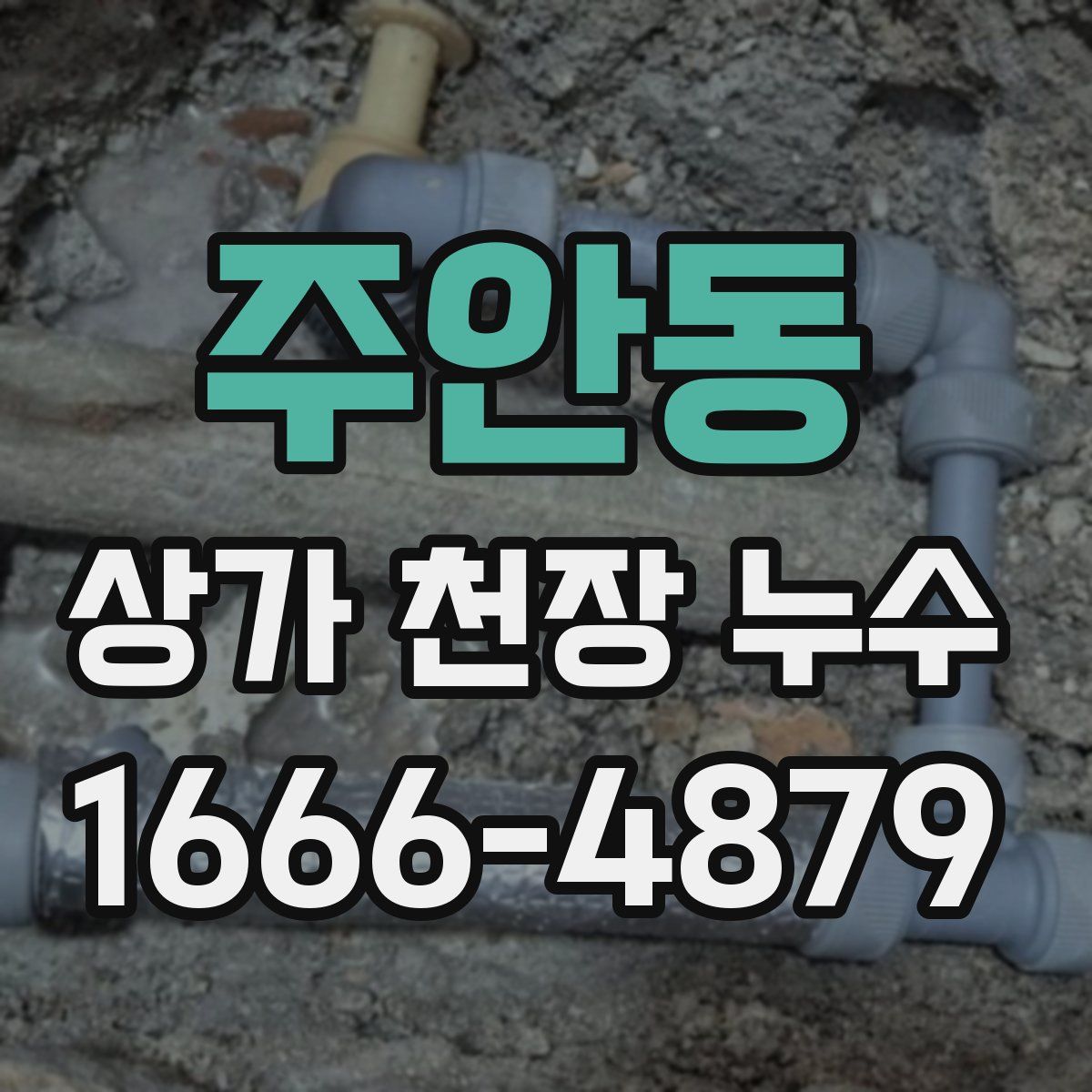 주안동 상가 천장 누수