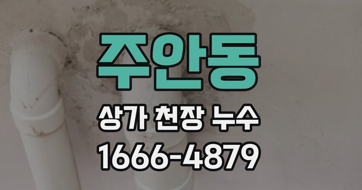 주안동 상가 천장 누수