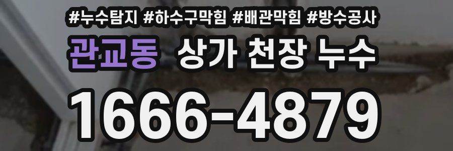 관교동 상가 천장 누수
