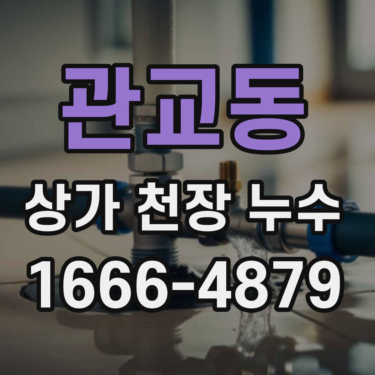 관교동 상가 천장 누수