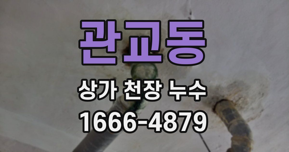 관교동 상가 천장 누수