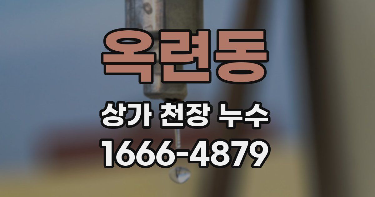 옥련동 상가 천장 누수