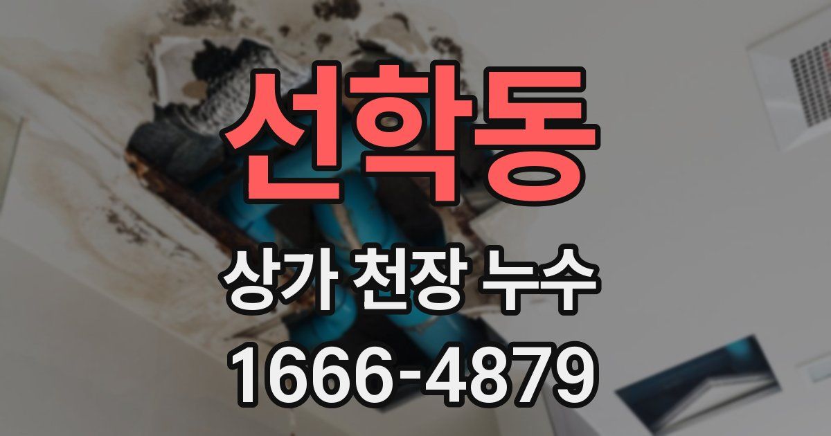 선학동 상가 천장 누수