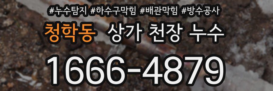 청학동 상가 천장 누수