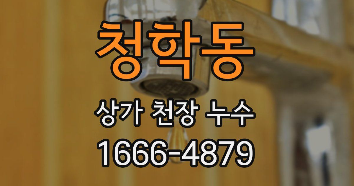 청학동 상가 천장 누수