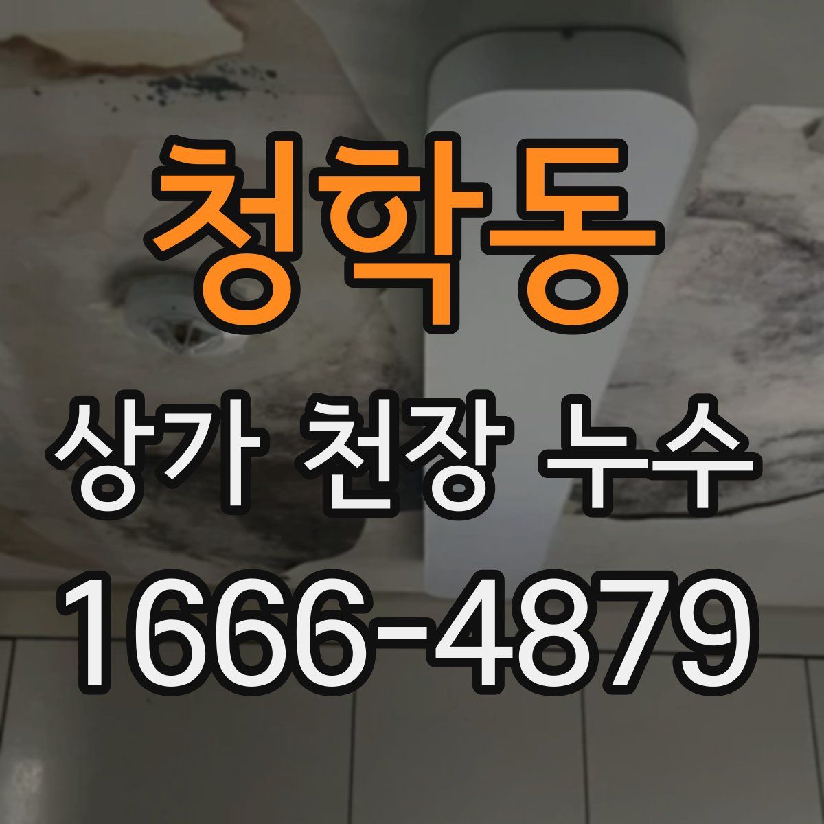 청학동 상가 천장 누수